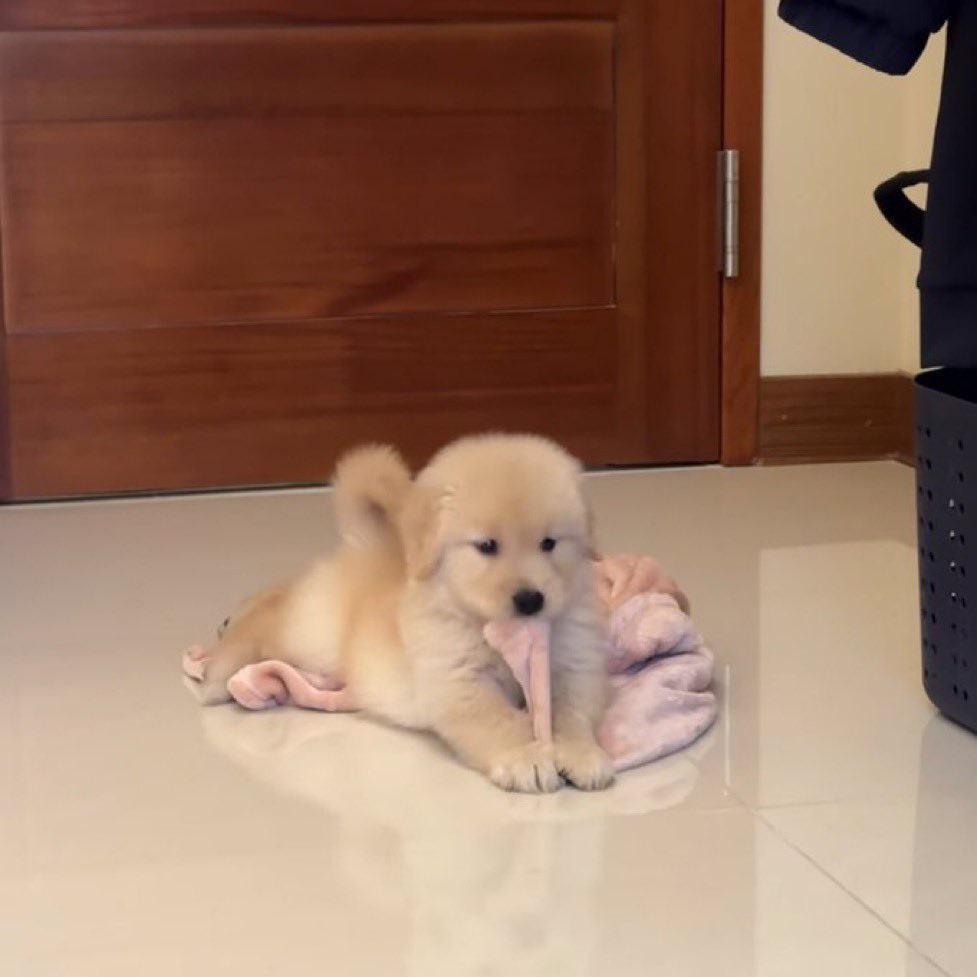 뜽민지이런느낌