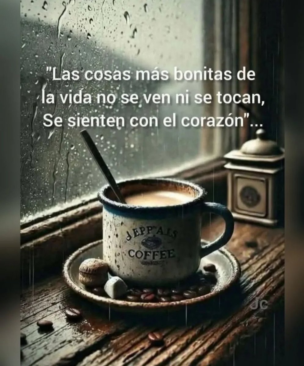 patomuscari's tweet image. Buen díaaaa!!!
Aquí vamos una vez más...
#FelizLunes para tod@sss!!! ✨