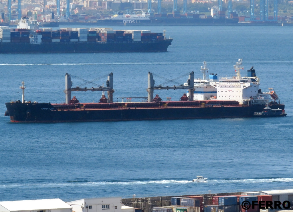 Gibdan1's tweet image. Bulkers in Gibraltar #shipsinpics #ships #shipping #shipspotting

⚓️NOOTKA ISLAND
⚓️PLACID SEA
⚓️KURPIE
⚓️LINDSAYLOU
