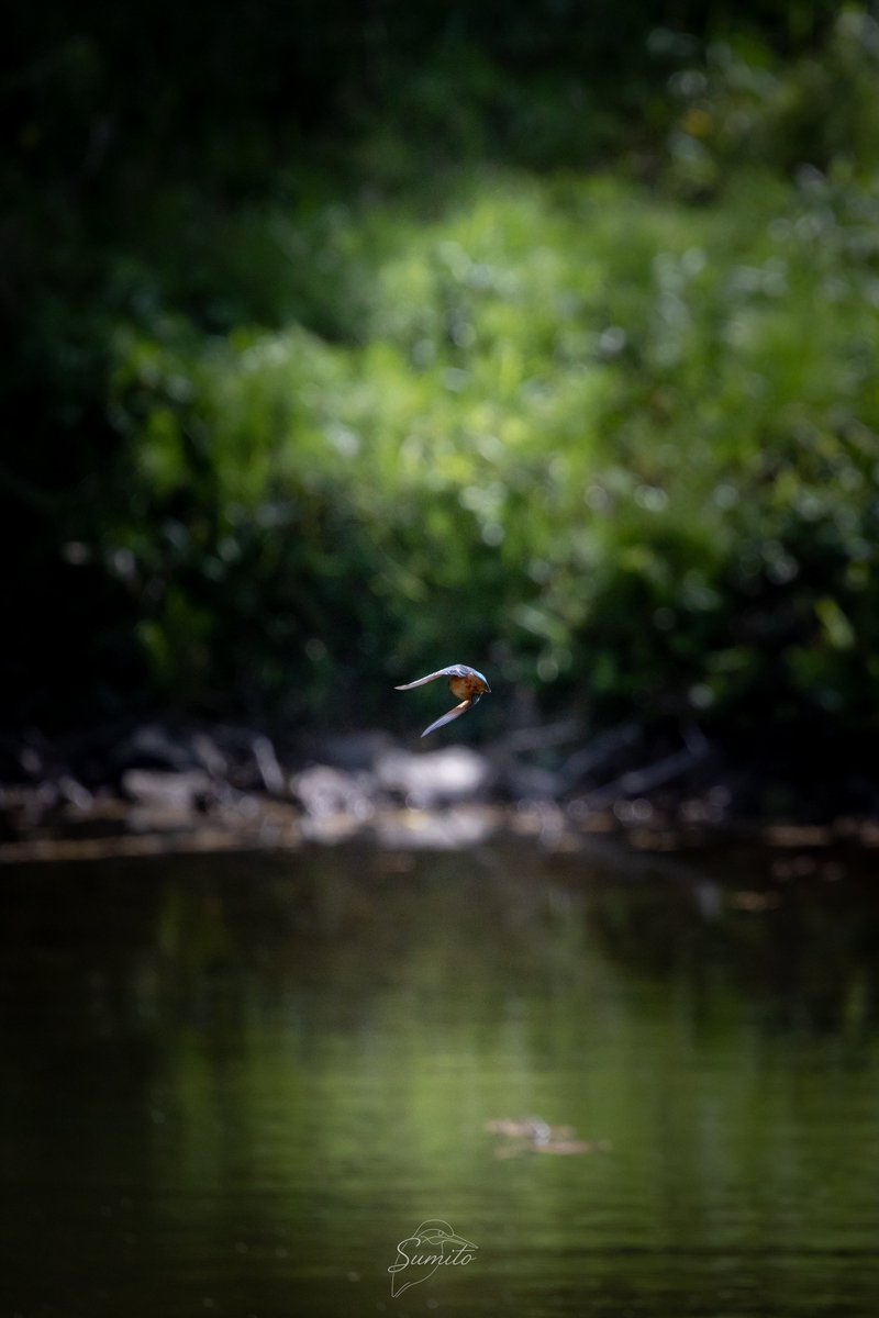 すみと tweet media