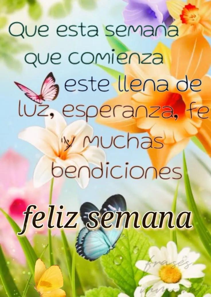 silvia_diablaa's tweet image. ✨ Que estos nuevos días lleguen cargados de paz energía positiva 
Que no falten las sonrisas la esperanza y la fuerza para seguir adelante 
Que sea una semana llena de oportunidades momentos bonitos y momentos para agradecer 

FELIZ DIA ☕🧉 
#SYL
#BuenosDíasATodos 
#FelizLunes