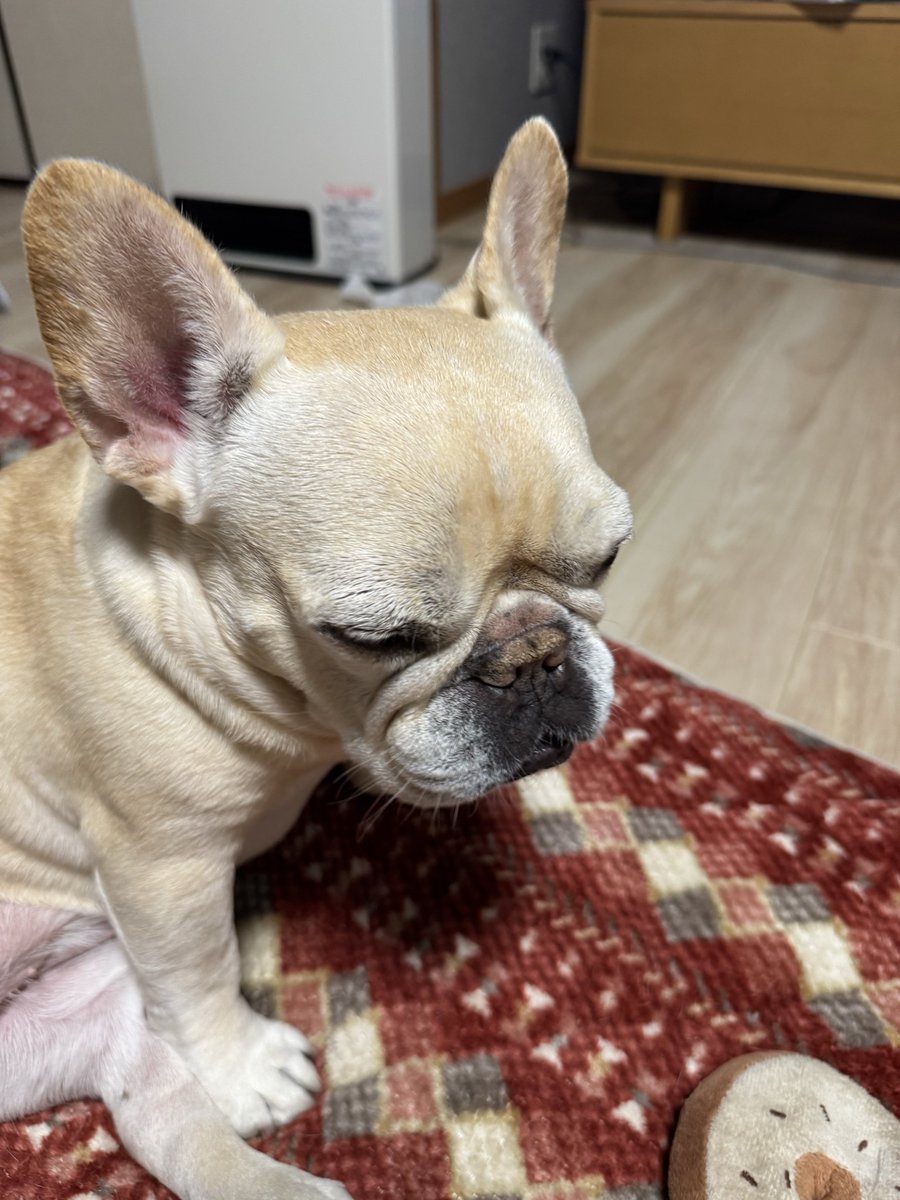 でぃー🍢 tweet media