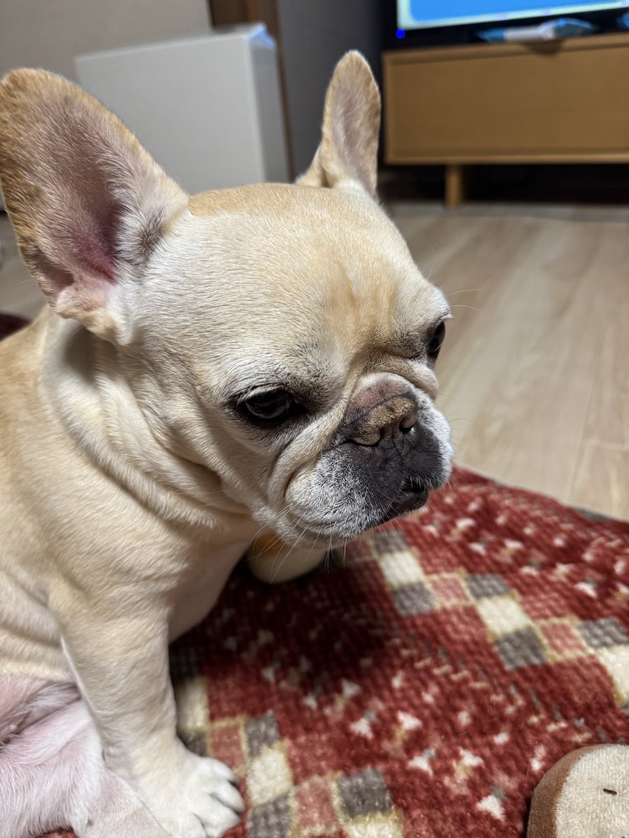 でぃー🍢 tweet media