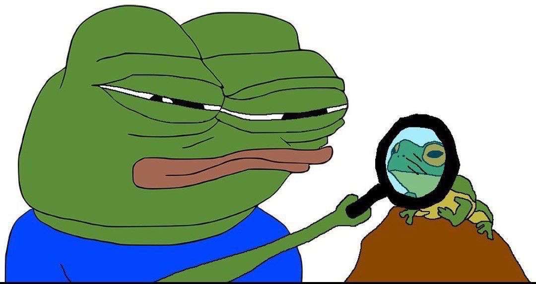 Poulpe 🐙 tweet media