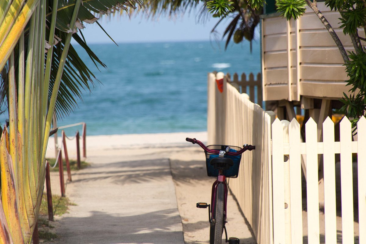 BlueMarlinMotel tweet media