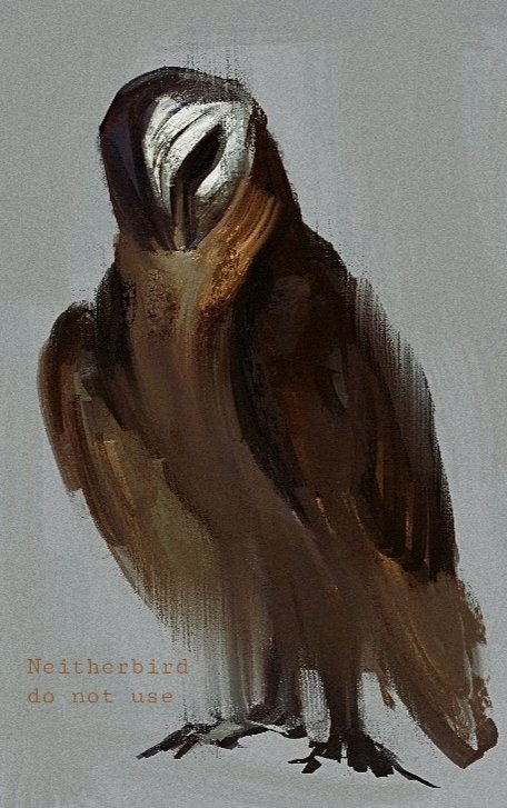 Neitherbird tweet media