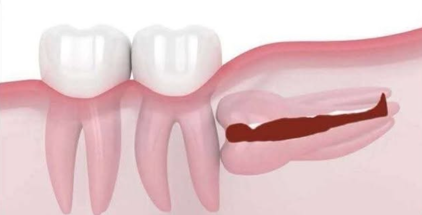 Shitpost 2077 tweet media