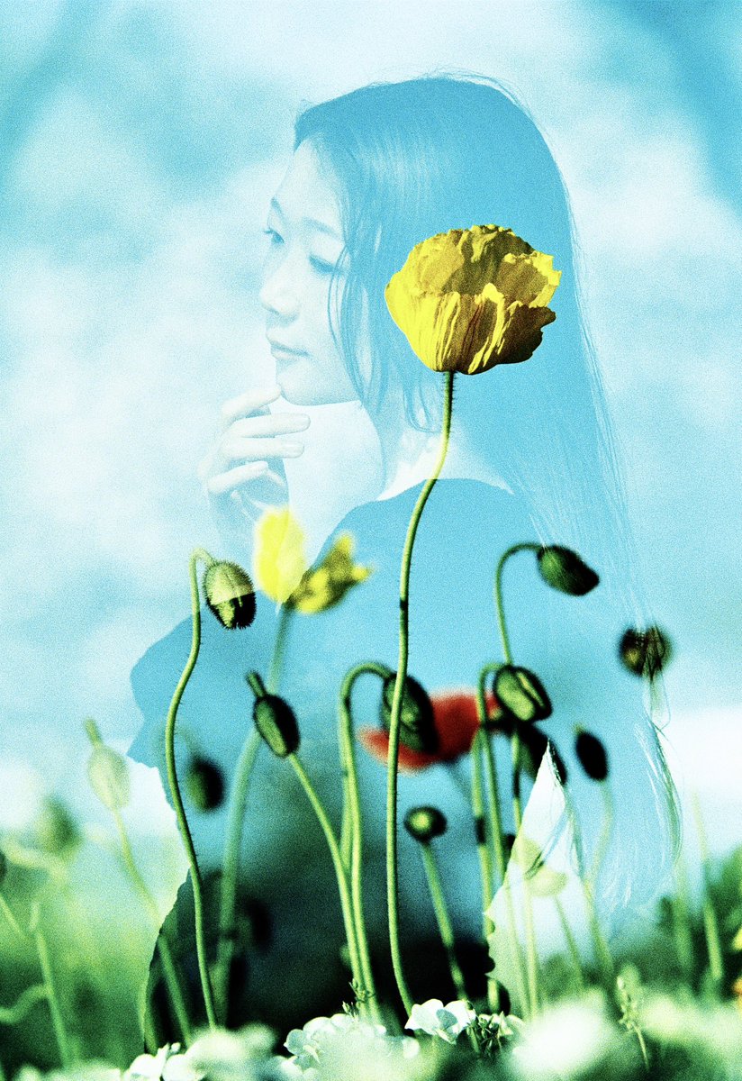 "kɔːrˈsɑːʒ"
先日の名古屋の多重露光ワークショップの講師作例より
Canon EOS7s/Kodak E100G (cross process)