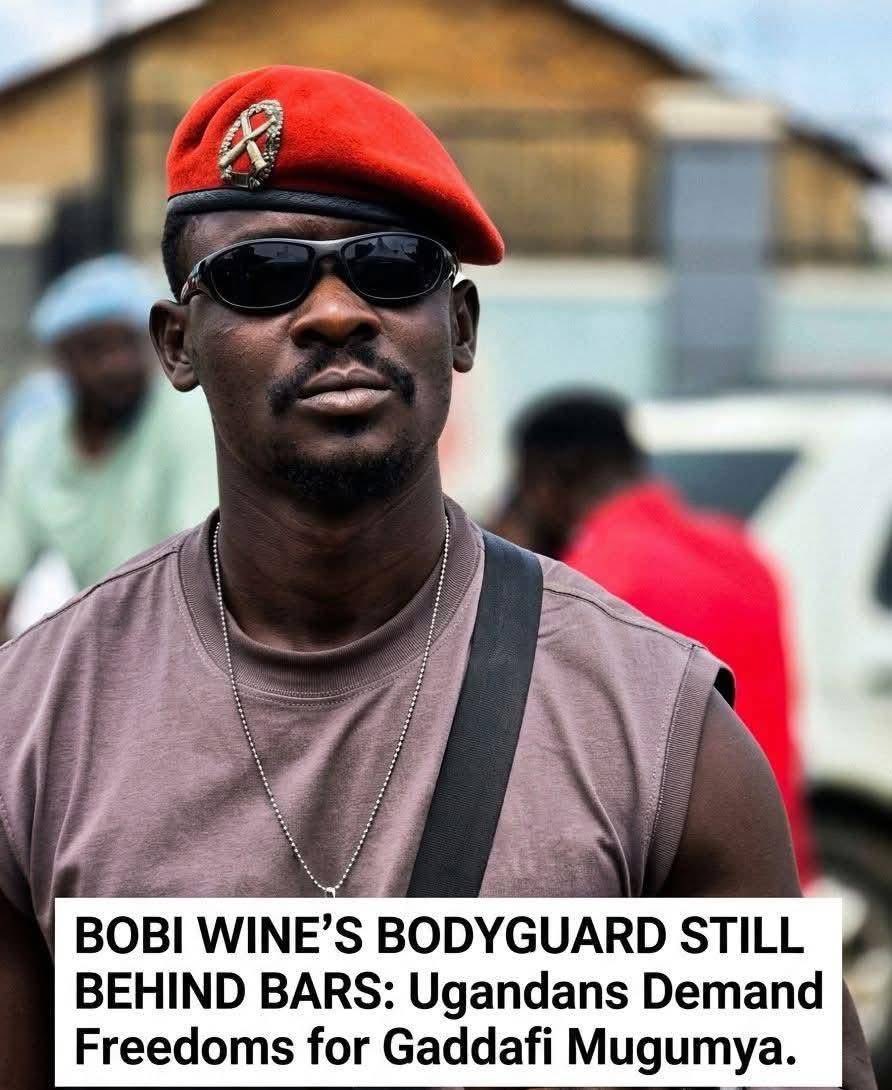 DR MORGANS tweet media