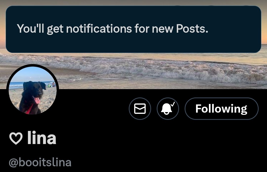 𝓬𝓱𝓮𝓻𝓻𝔂 🪼🫐 tweet media