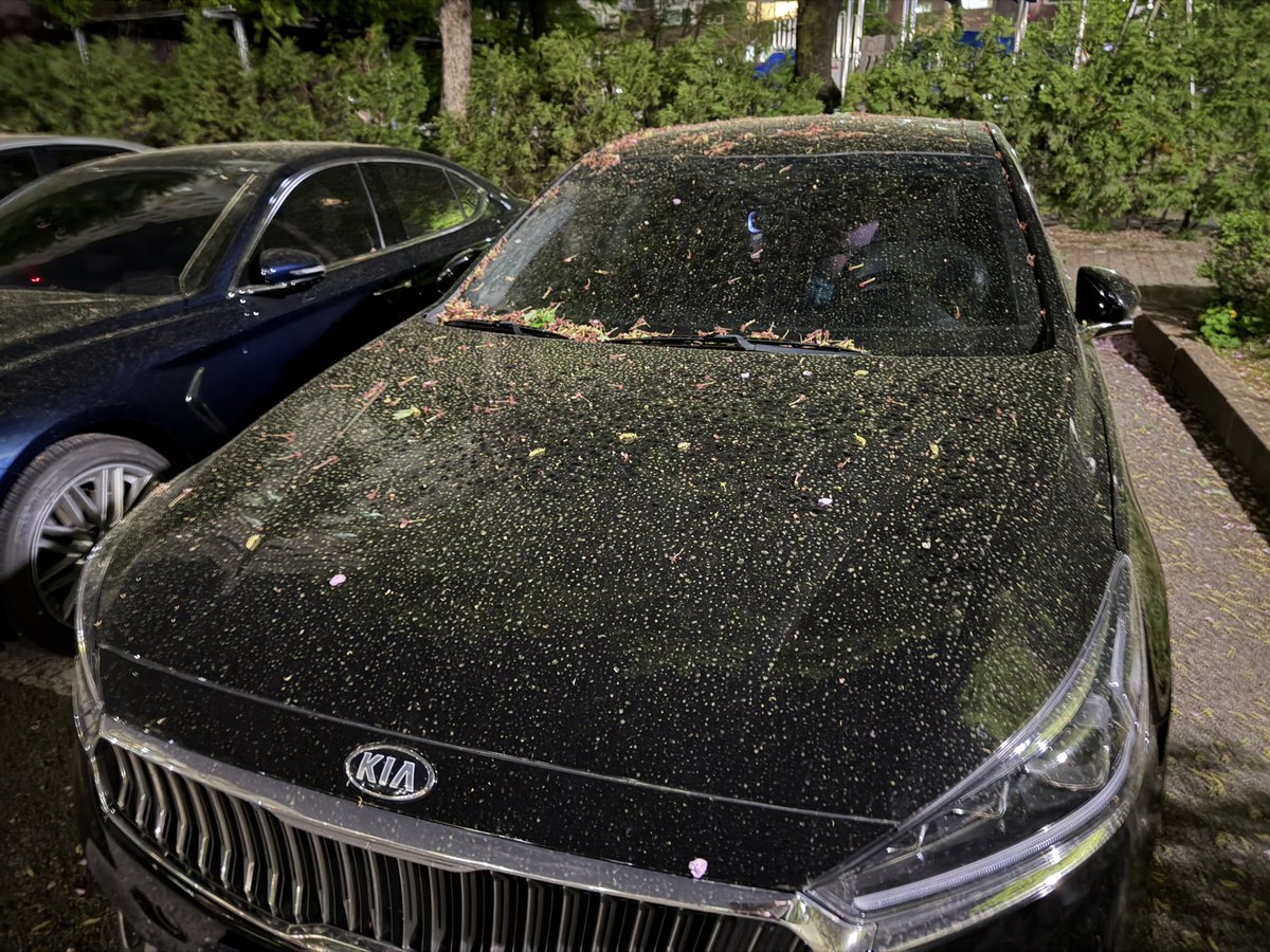 대파쪼가리 tweet media