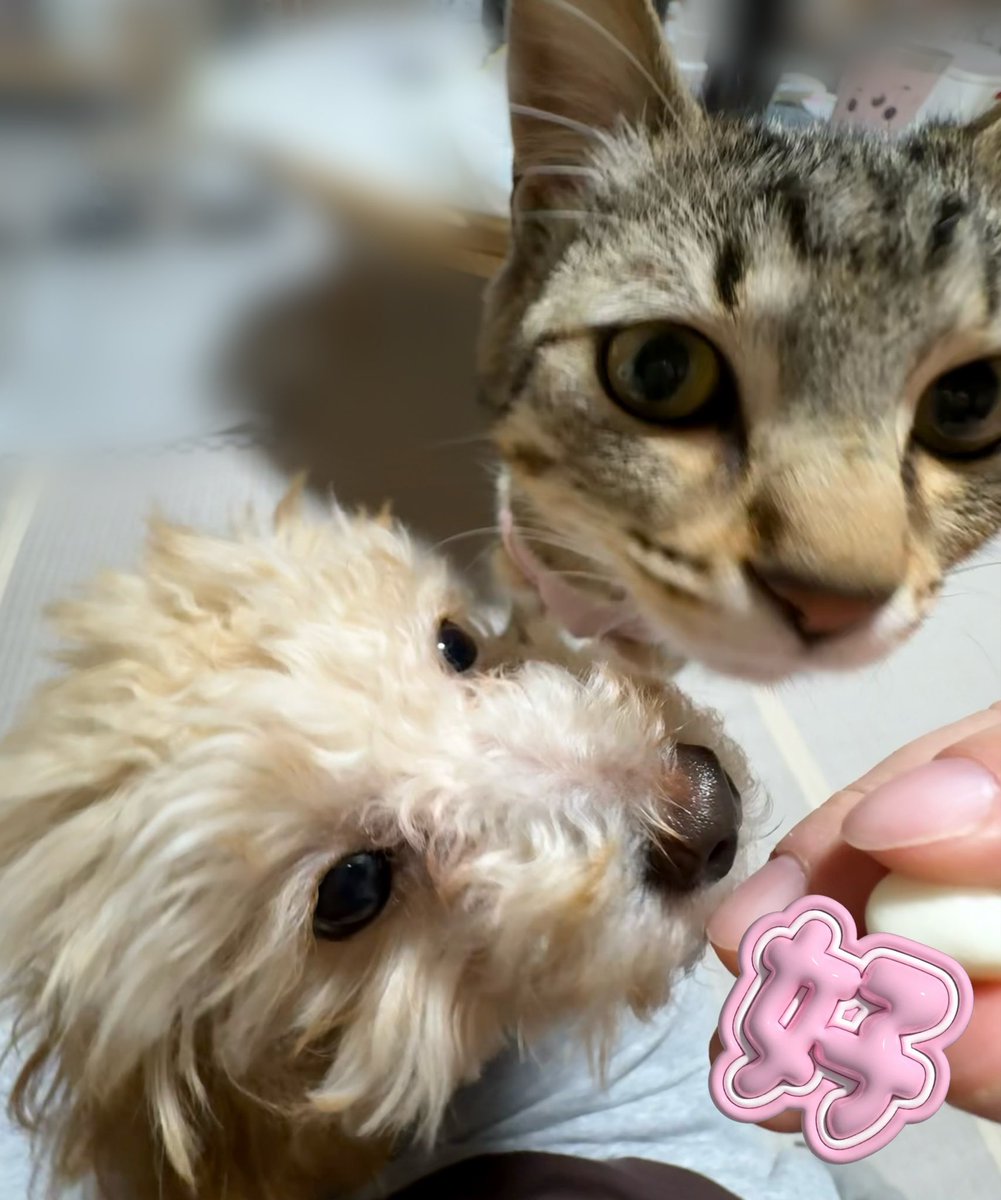 ひいろ tweet media