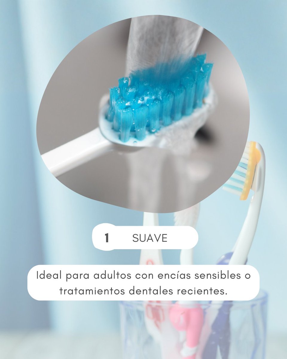 lapazvillar's tweet image. Elegir el cepillo adecuado es más importante de lo que parece 🦷

La dureza de las cerdas puede marcar la diferencia en tu higiene bucal y en el cuidado de tus encías. 

 #dientessanos #cepillodental #saludoral