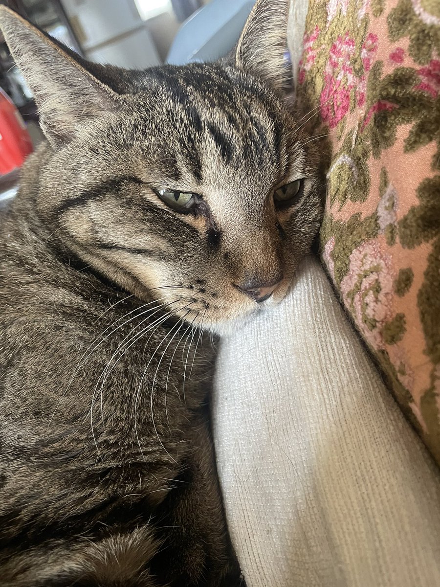 ８３５ tweet media