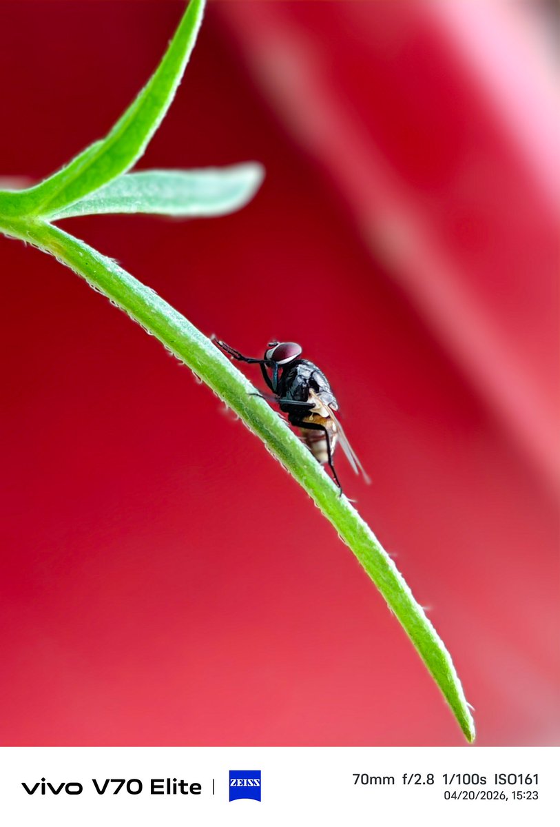 Anant Rawat tweet media