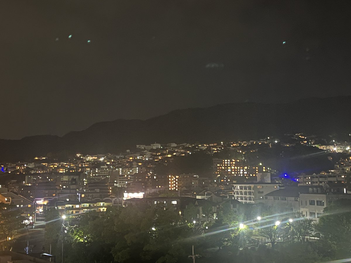 シルバニア組 総長 tweet media