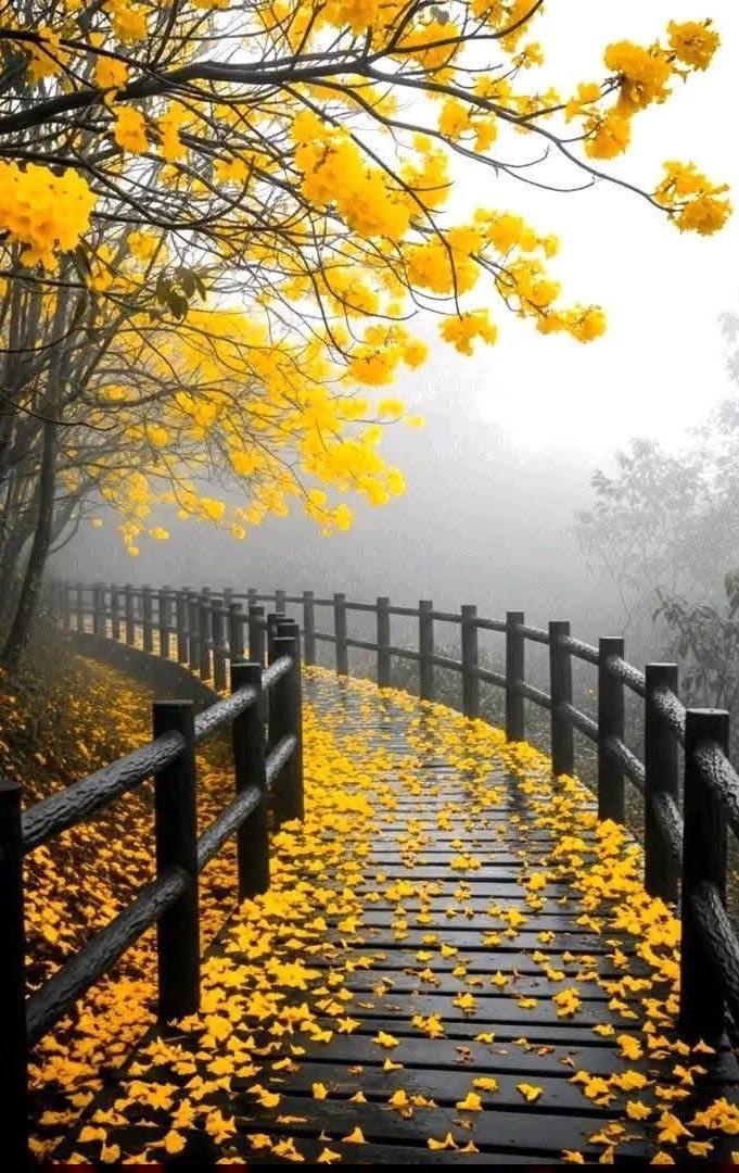 InsatiableVVIP's tweet image. Misty, gorgeous view 💗
