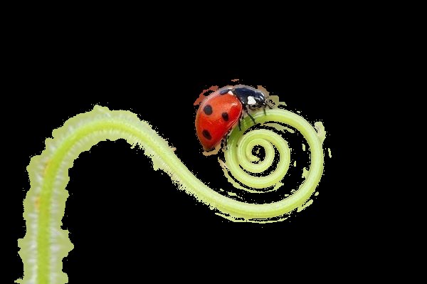 𝒍𝒖𝒏𝒂 tweet media