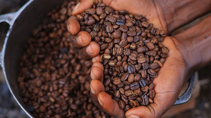 josephajabo's tweet image. #Uganda became #Africa's leading #coffee ☕️ exporter in mid-2025, surpassing Ethiopia. #MuseveniSwearsIn2026
Courtesy 📸