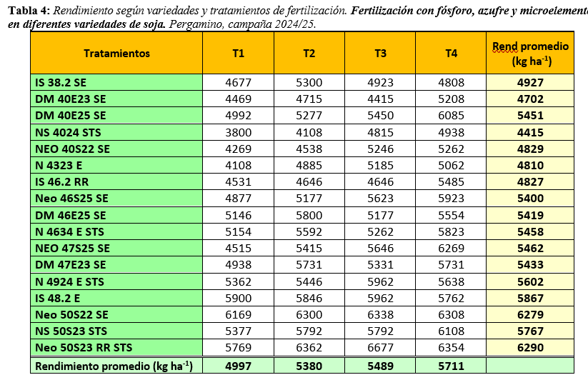 Gustavo N Ferraris tweet media