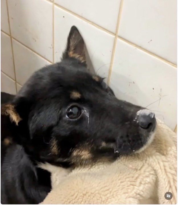 ヘタレ福祉職員@痛恨のヤメルヤメル詐欺 tweet media