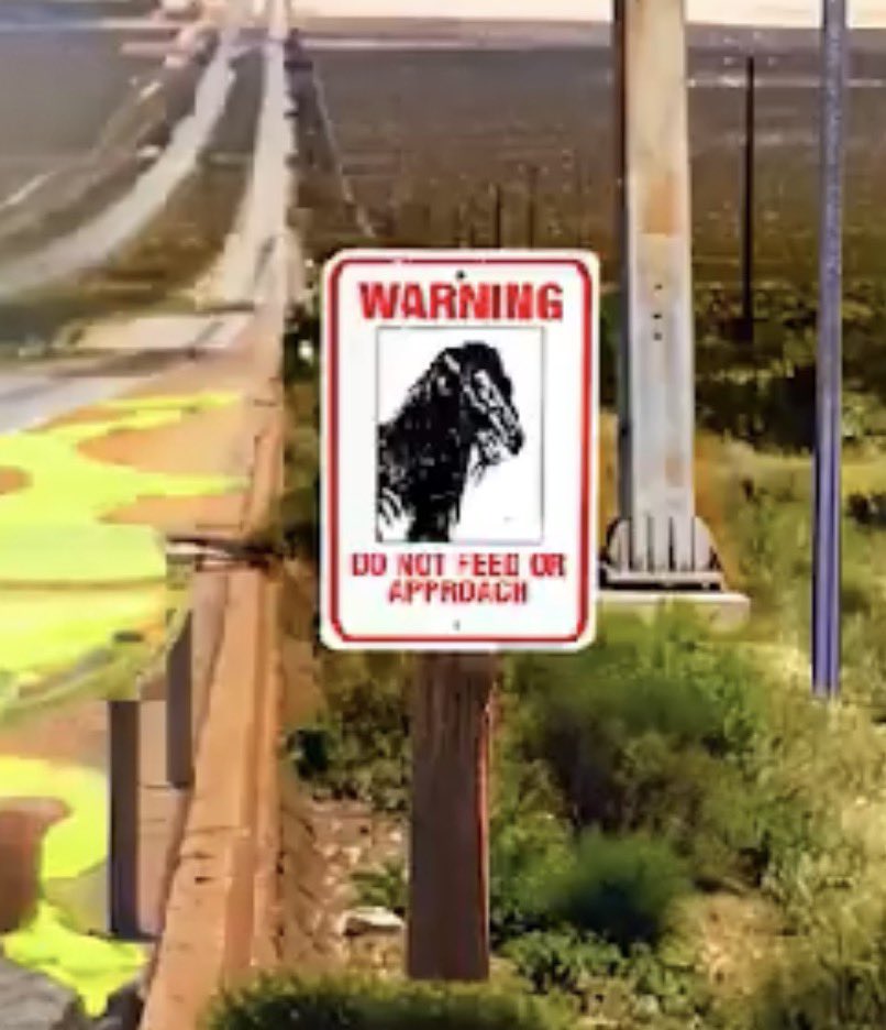 vivi ⋆˚࿔ tweet media