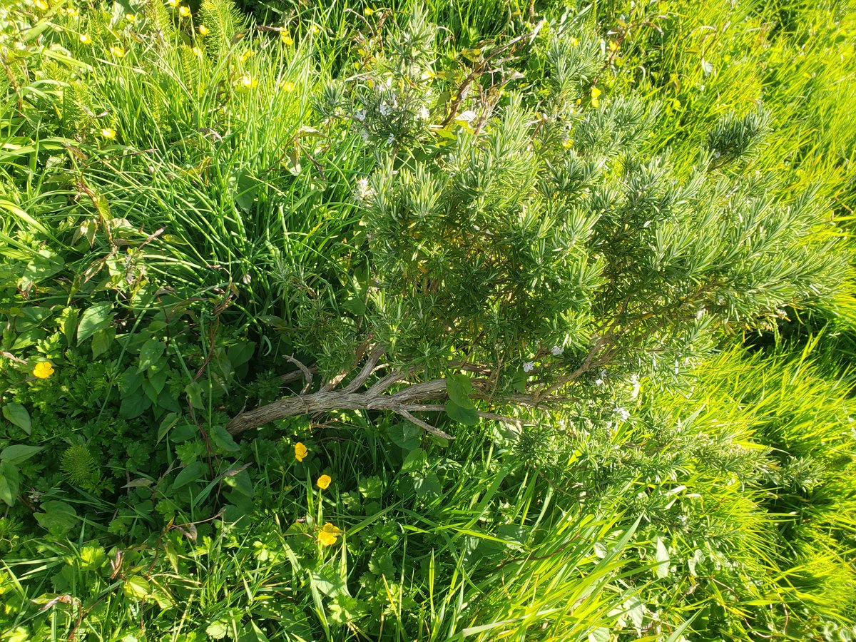 Matt Adams tweet media