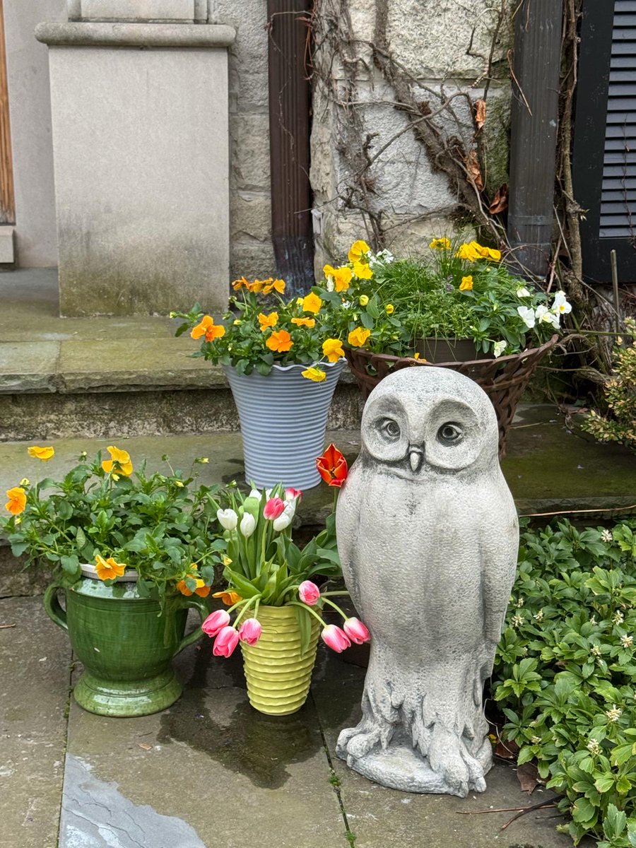 David Storch tweet media