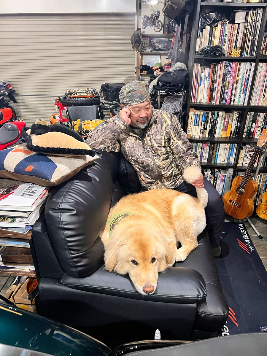 ディッパー tweet media