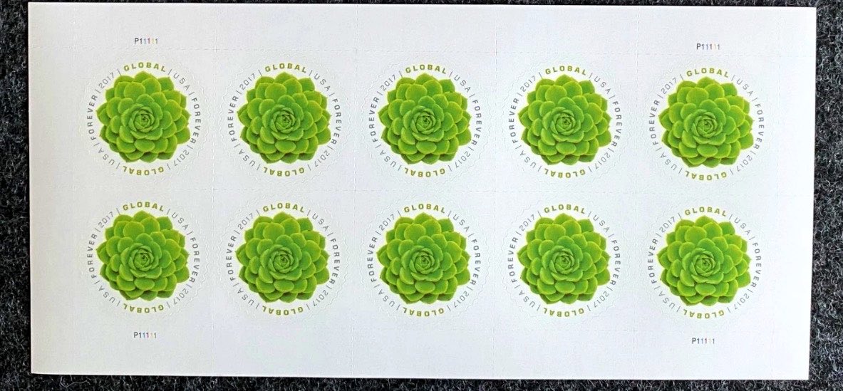 Philatelovely's tweet image. Hey everyone, I hope you’re all having an Unbelievably good day. It’s the letter U in the a-z of Flowers on Stamps. Here’s my choices, please share yours too.

USA 
USSR

#stampcollecting #philately #stamps