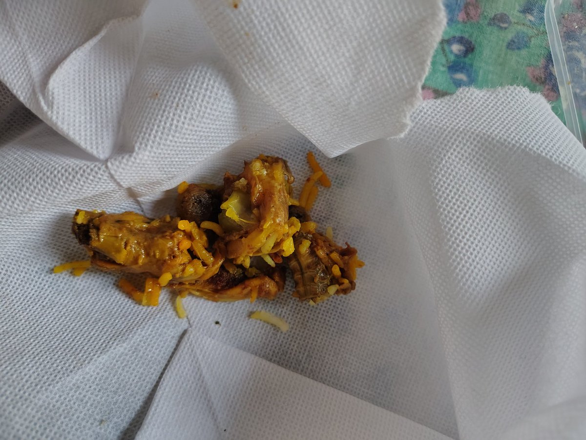 INDRAJE25025679's tweet image. #zomato Aaj maine aapke restaurant se biryani order ki thi, lekin uski quality kaafi kharab thi. Taste theek nahi tha aur lag raha tha ki fresh bhi nahi hai.
Request hai ki ya toh iska replacement diya jaye ya refund
Please is matter ko jaldi resolve karein.