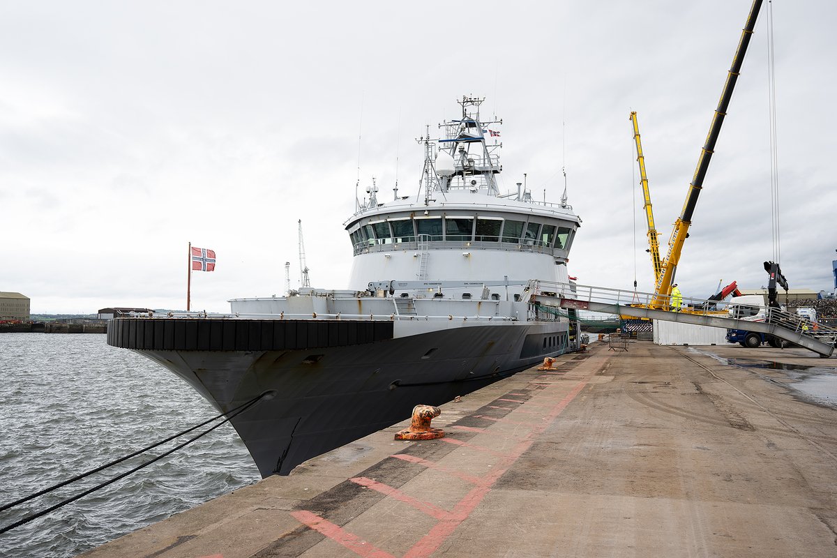Submarine Delivery Agency tweet media