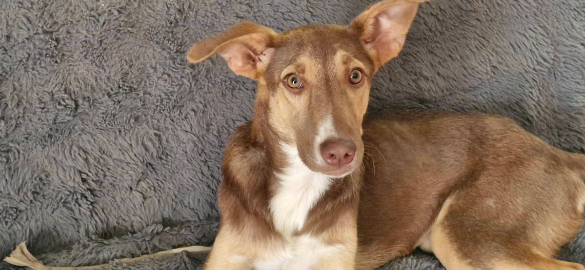 Amigues patud da Mia em Cabo Verde tweet media