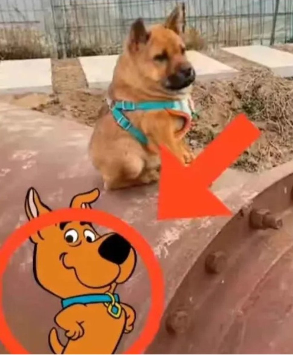 Shitpost 2077 tweet media