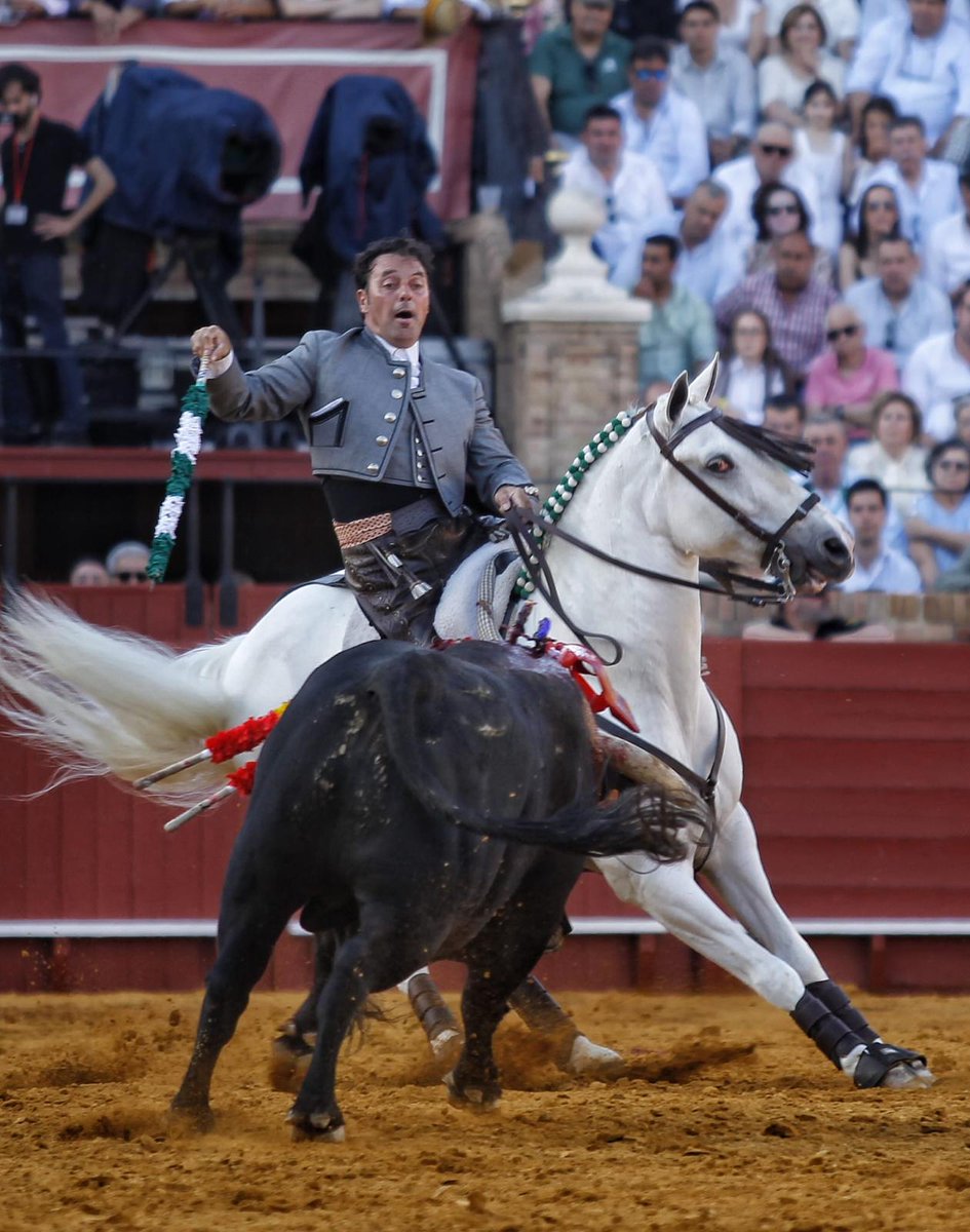 7TOROS7's tweet photo. AYER.

@Andy_Cartagena descerrajó ayer la Puerta del Príncipe tras diez años de espera para regresar a Sevilla. https://t.co/X0hyJ7C9YP