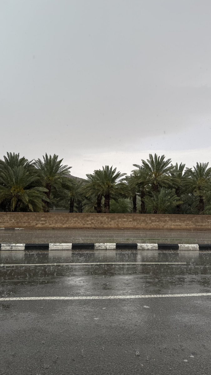 عبدالله tweet media