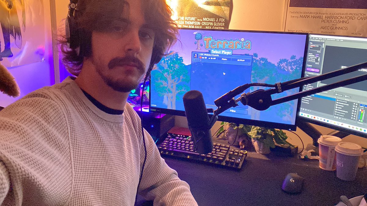 THEGOOBLIVE's tweet photo. streaming terraria, join or get your toast burnt. https://t.co/xKjw2pYiXx https://t.co/0A1klN3775