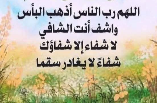 Ⓜ️🅾️h@♏ed s🅰️af@n🤍🤍💚💚🦅🦅🦅♥♥ tweet media