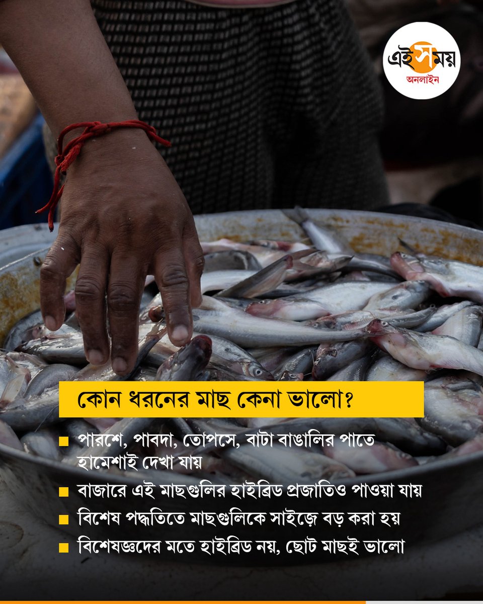 Ei_Samay's tweet image. মাছ কেনার আগে জেনে নিন এই টিপসগুলো

#eisamayonline #EiSamay