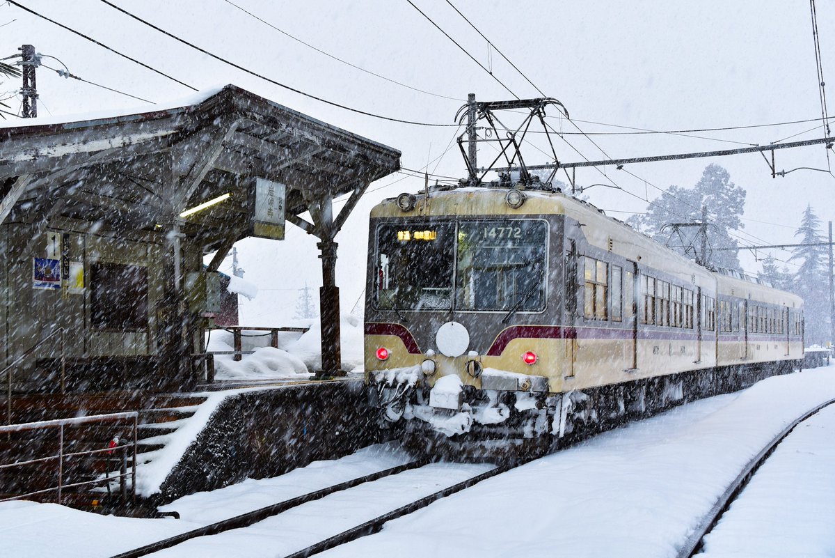 lonely-bluesky tweet media