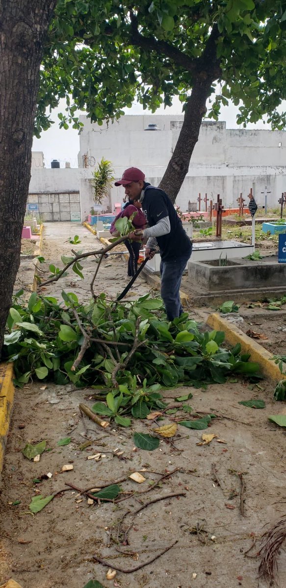 #Domingo de limpieza integral en el panteón municipal de nuestra ciudad de Veracruz. Fue un gusto participar en la eliminación de focos de infección para conservar estos espacios dignos para la ciudadanía de nuestro municipio. 

Con mucho cariño y respeto saludé a familias que