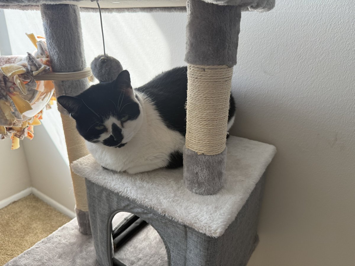 Fran and Fiona AKA Salt and Peppore tweet media