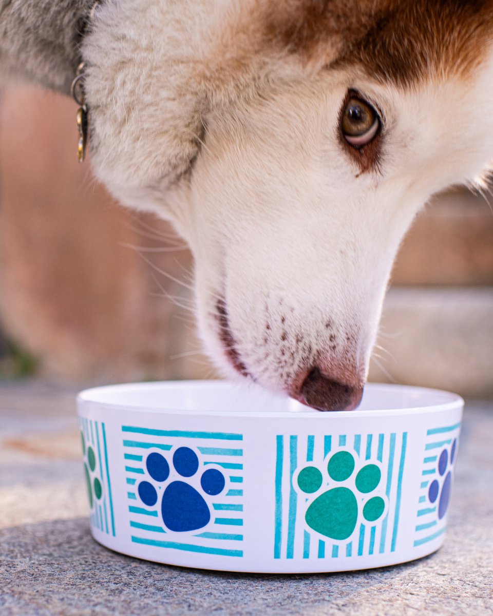 Loving Pets Corp. tweet media