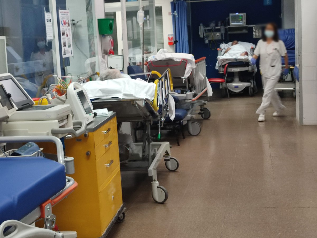 sindicato MATS tweet media