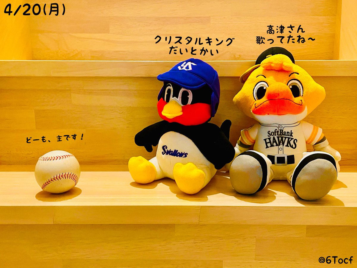 ただの野球好き tweet media