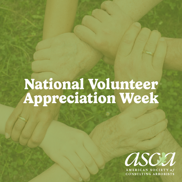 ConsulArborists's tweet image. ASCA can’t do it without our volunteers! A huge thank you to each and every dedicated volunteer that supports ASCA and its mission. 🤝 Interested in volunteering? Check out our committees and sign up today! ow.ly/4iXB50YFGsw

#ASCA #NationalVolunteerAppreciationWeek