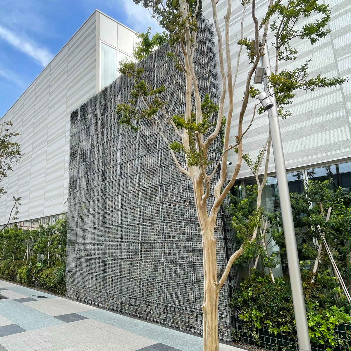 BEVELcorp's tweet photo. 再掲載

東京たま未来メッセ 東京都立多摩産業交流センター

設計 : 株式会社山下設計

https://t.co/JvKXpqd0PF https://t.co/jojNfe2lw8