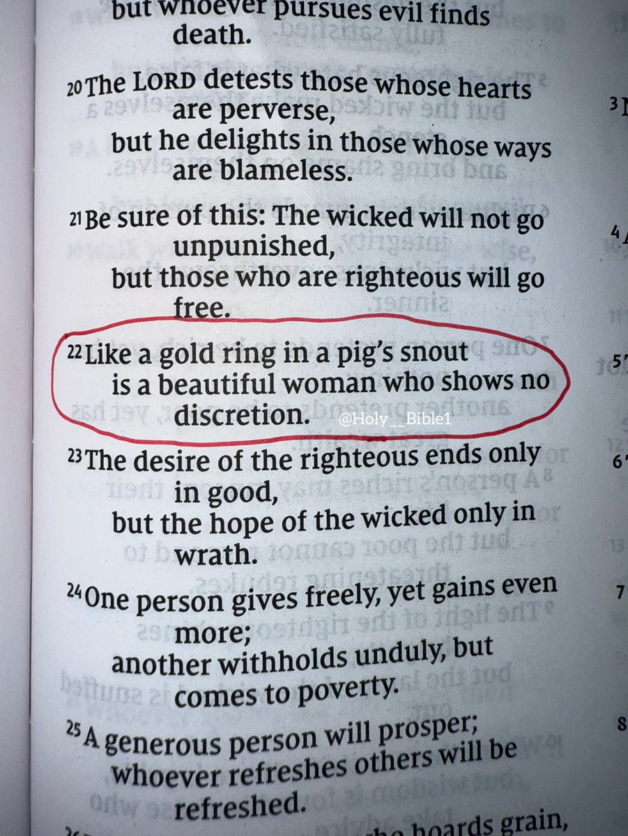 Holy Bible tweet media