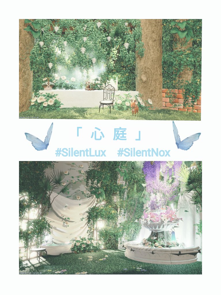 Nox（のくす） tweet media