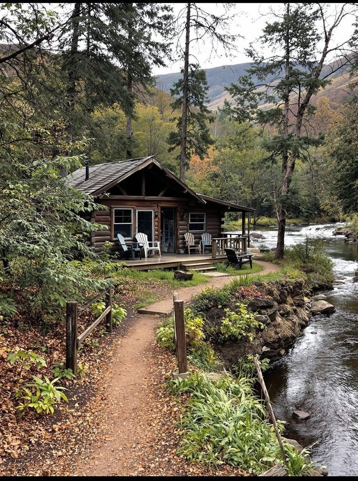 Mountain Cabins tweet media